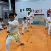karate5